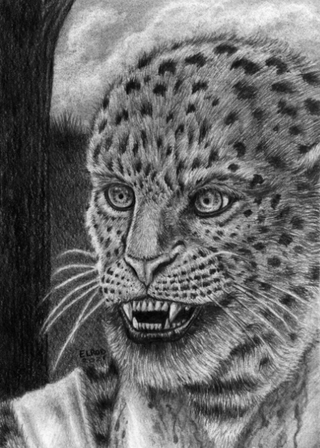 The Leopard Man